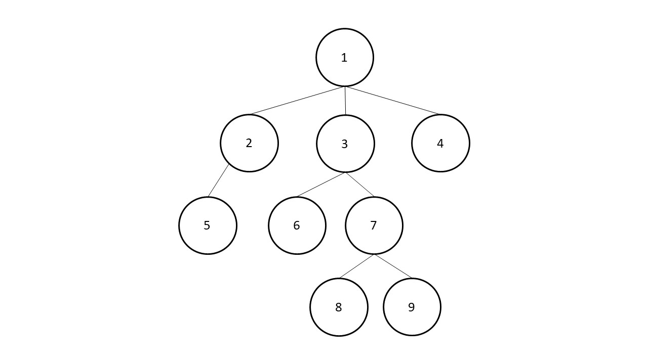 Breitensuche Definition & Erklärung | Datenbank Lexikon